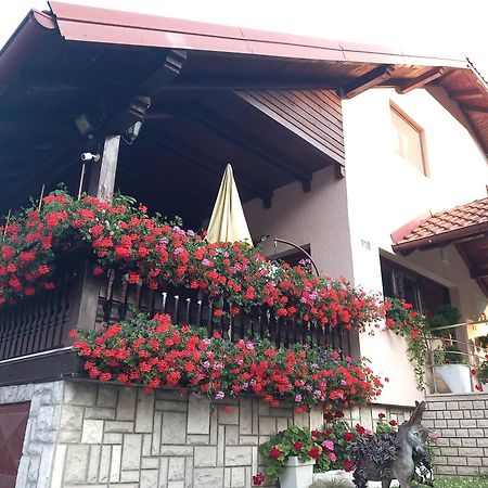 Apartment Vihor Zlatibor Bagian luar foto