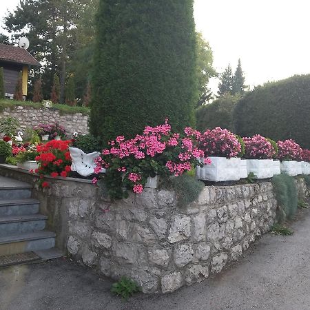 Apartment Vihor Zlatibor Bagian luar foto