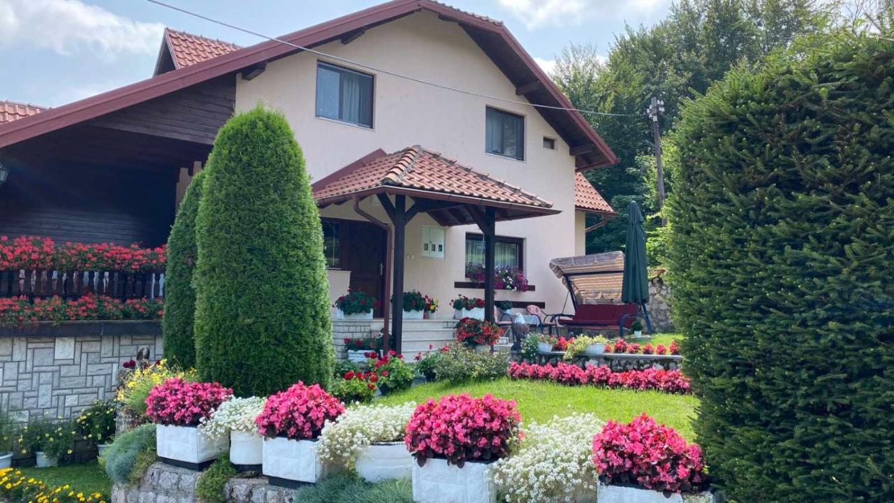 Apartment Vihor Zlatibor Bagian luar foto