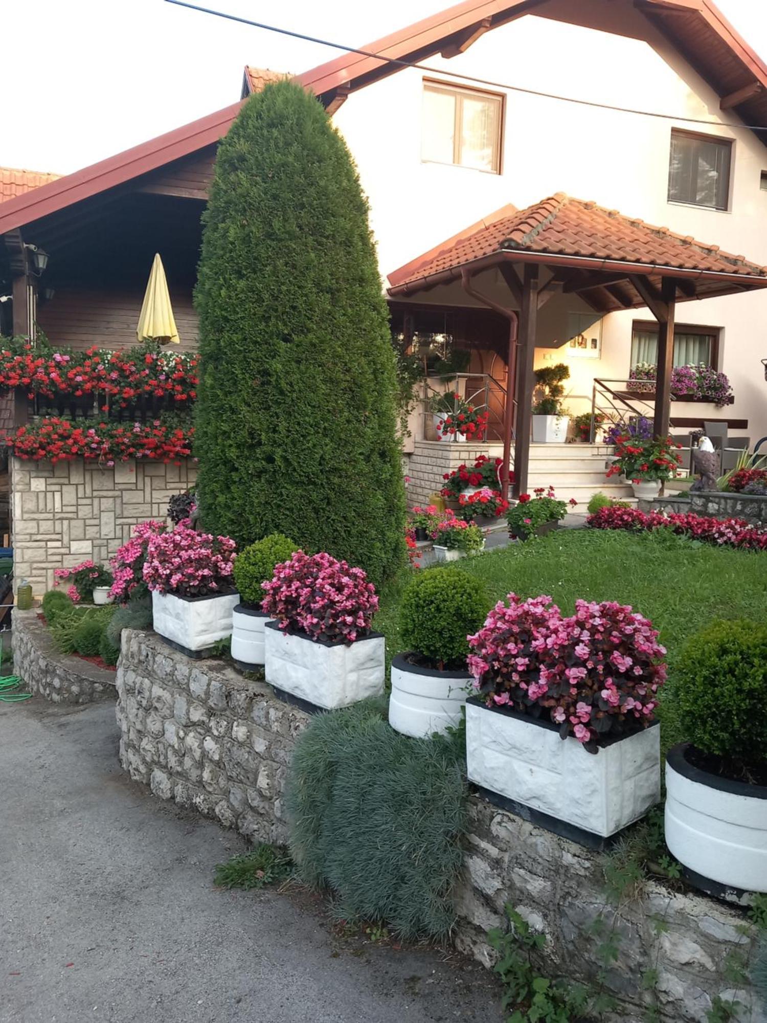 Apartment Vihor Zlatibor Bagian luar foto