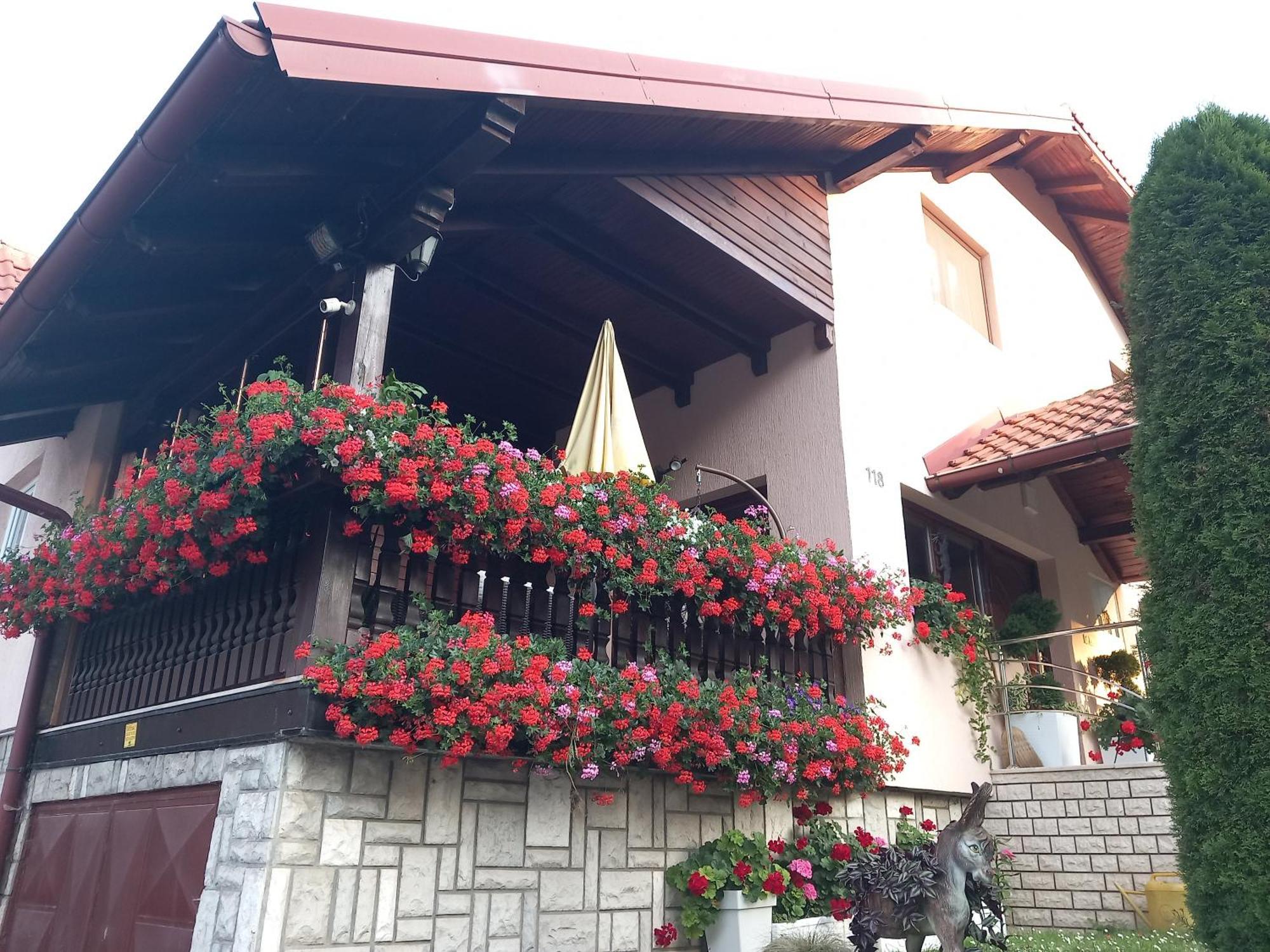 Apartment Vihor Zlatibor Bagian luar foto