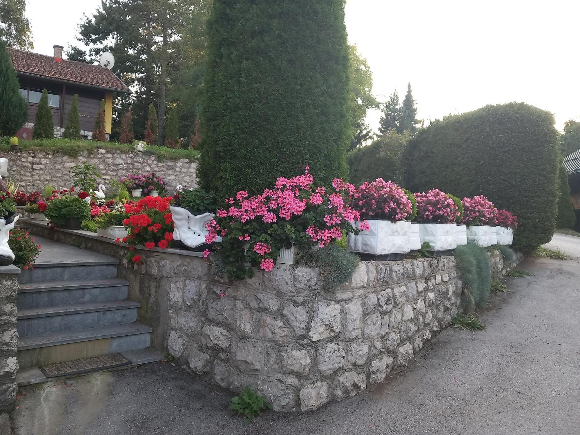 Apartment Vihor Zlatibor Bagian luar foto